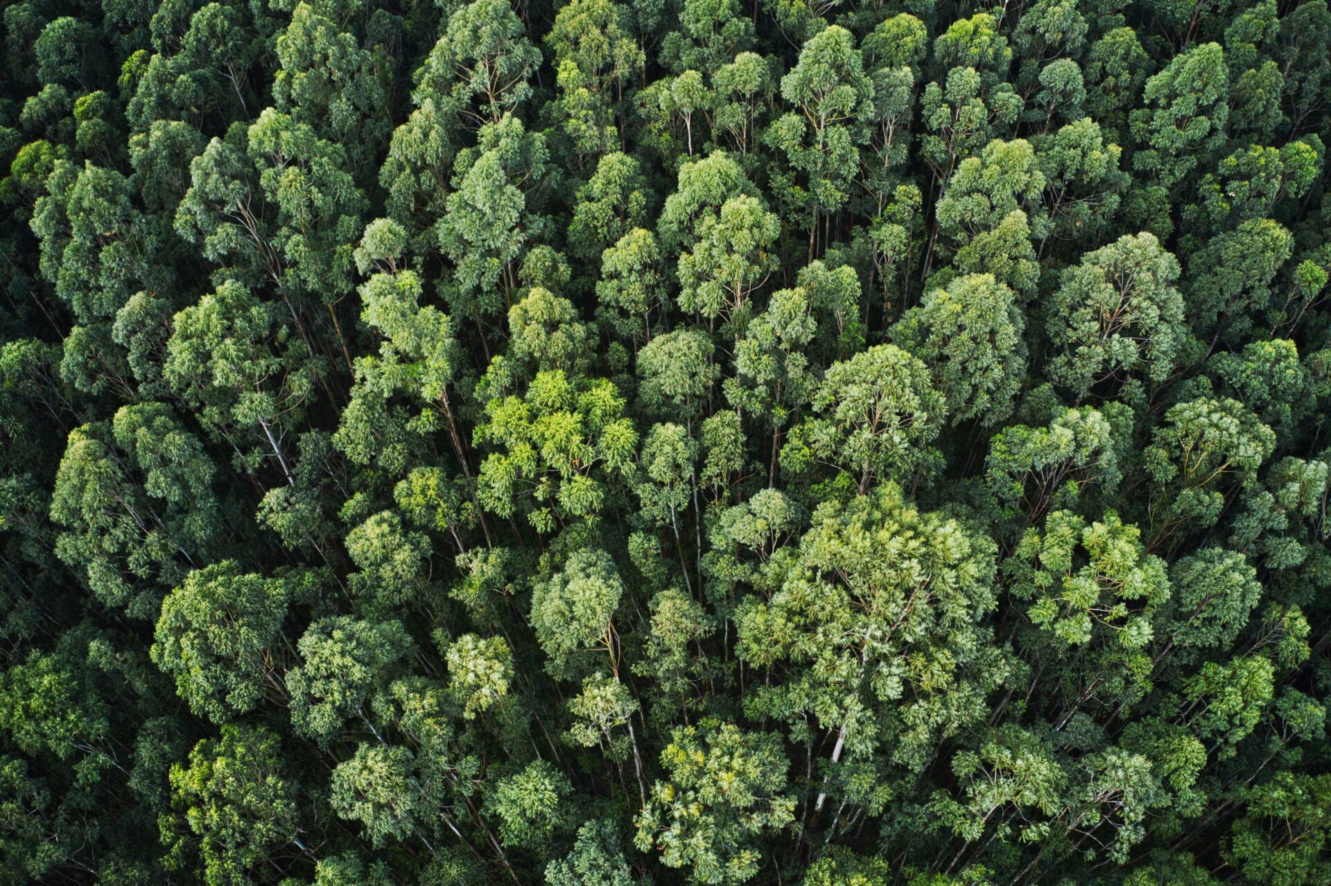 Sustainability