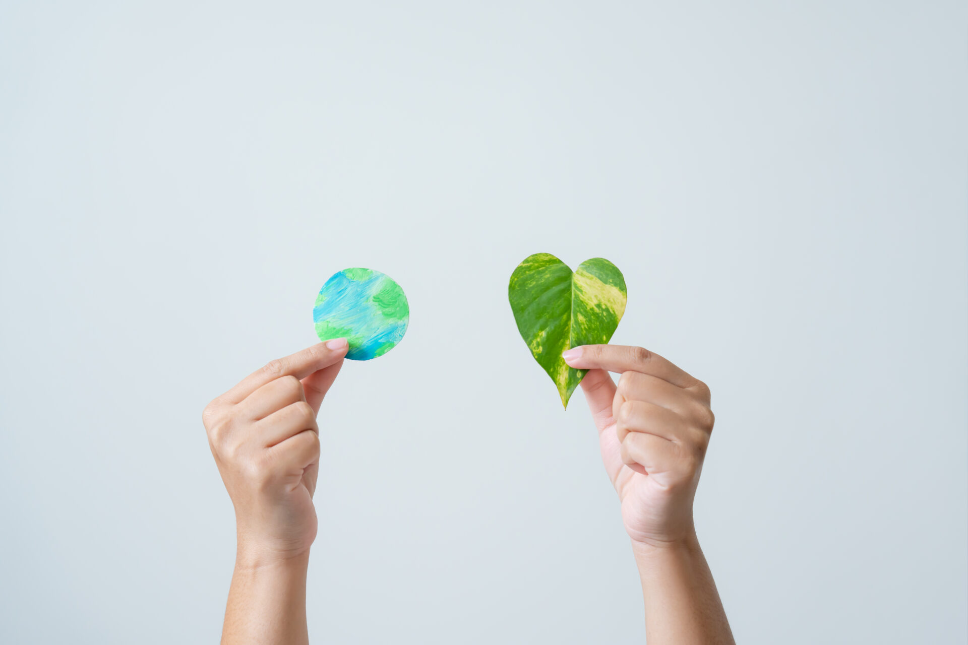 eco friendly leaf as a heart