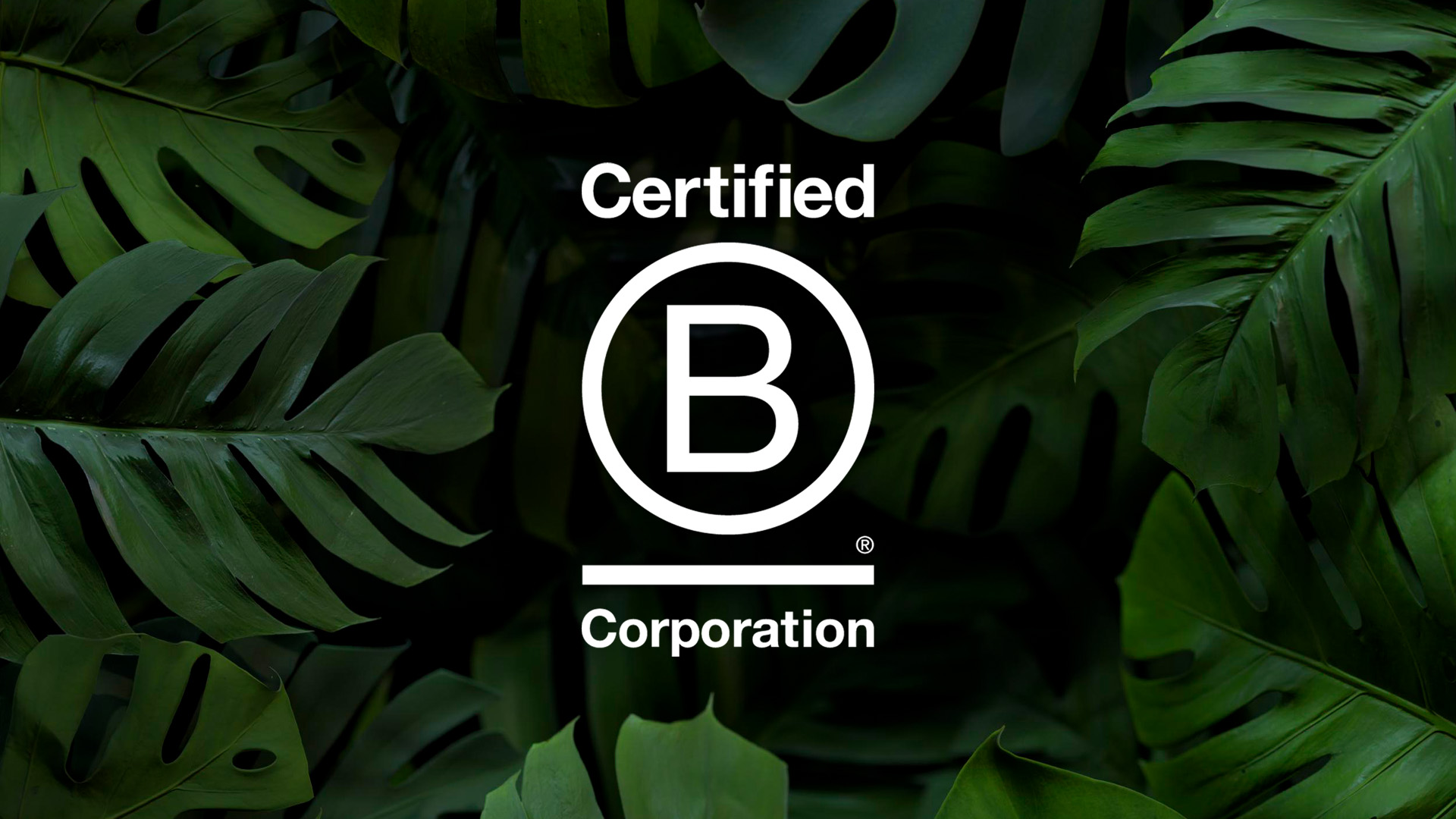 B-Corp logo