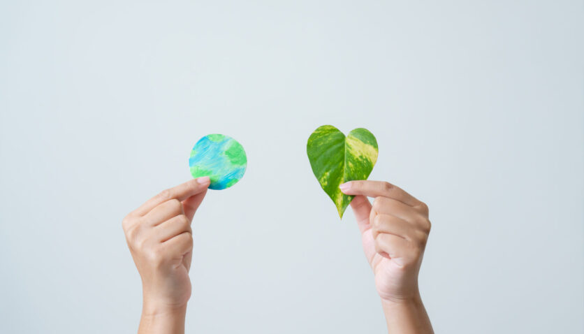 eco friendly leaf as a heart