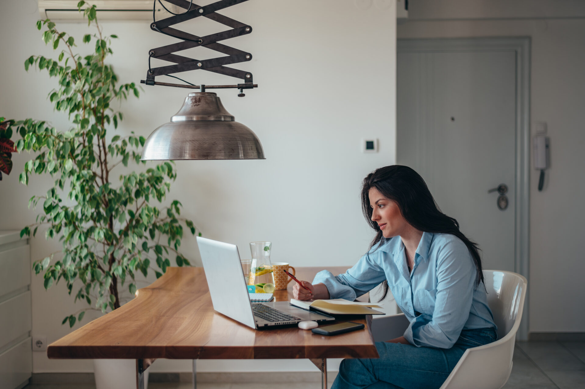 Professional woman home working