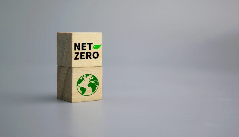 net zero wooden blocks